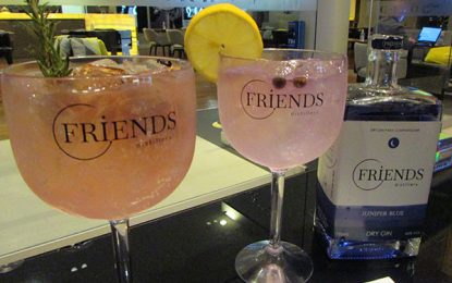 Friends Gin, novidade no mercado